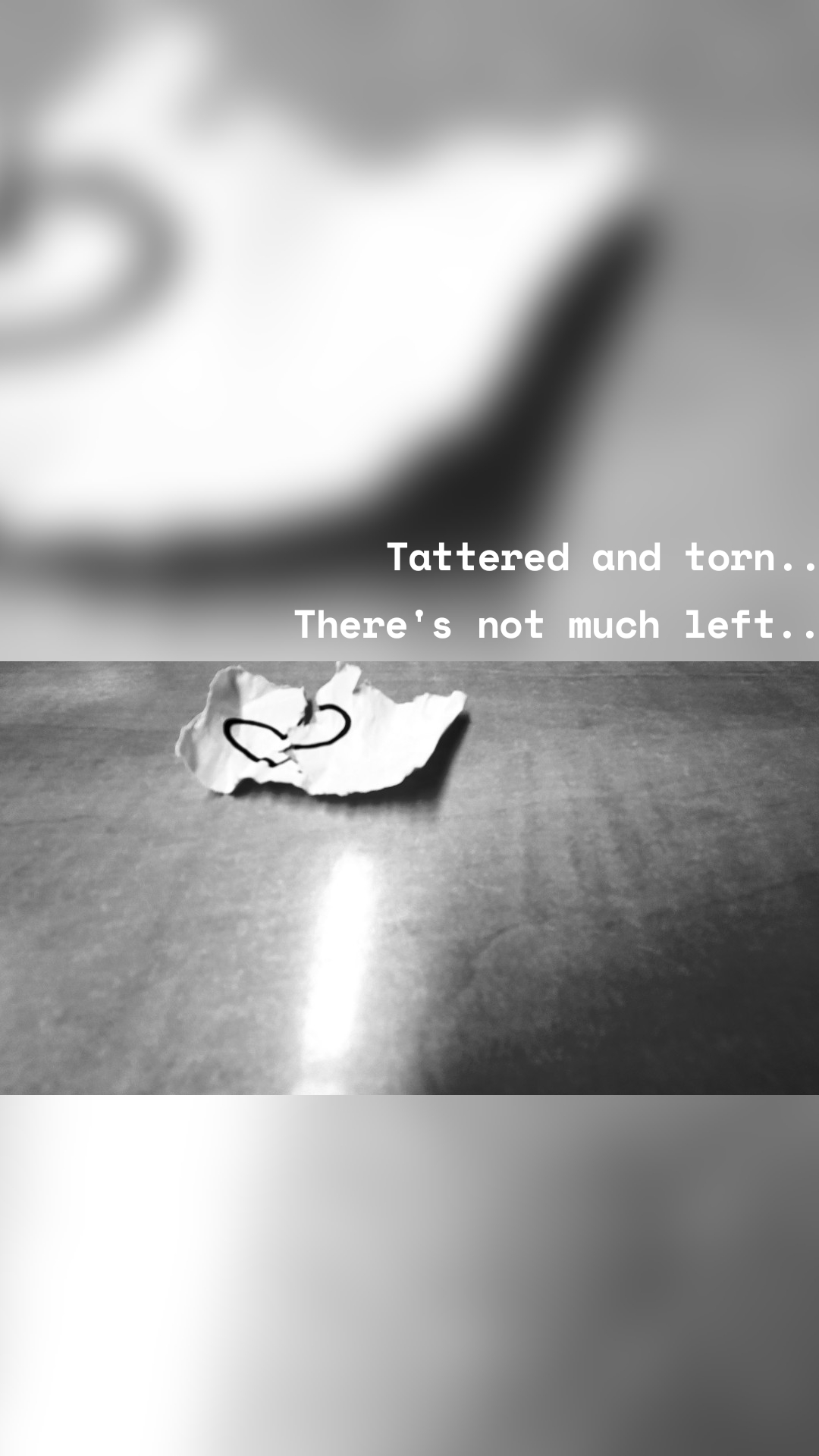 Tattered and torn...
There's not much left...
