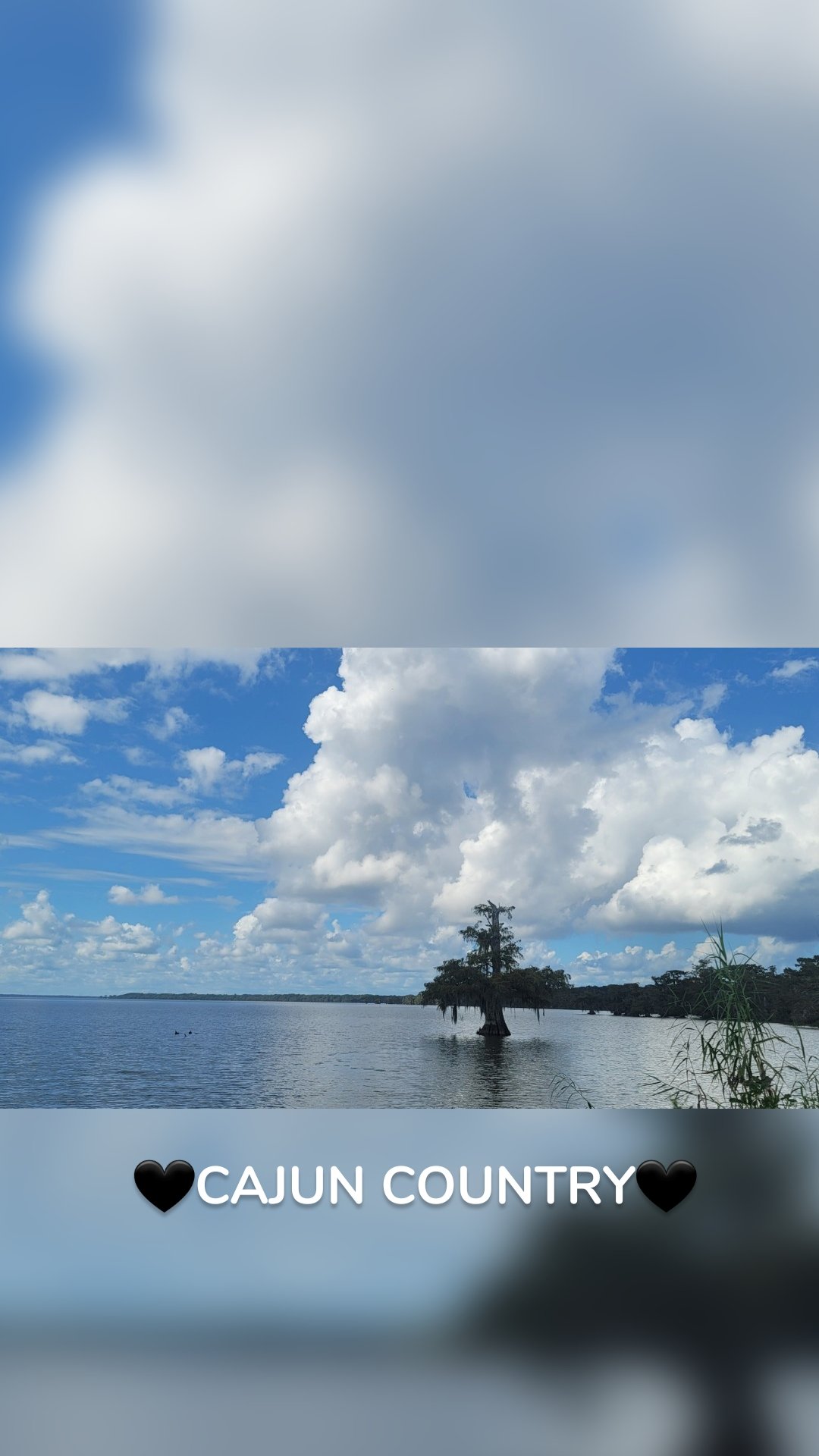 🖤CAJUN COUNTRY🖤