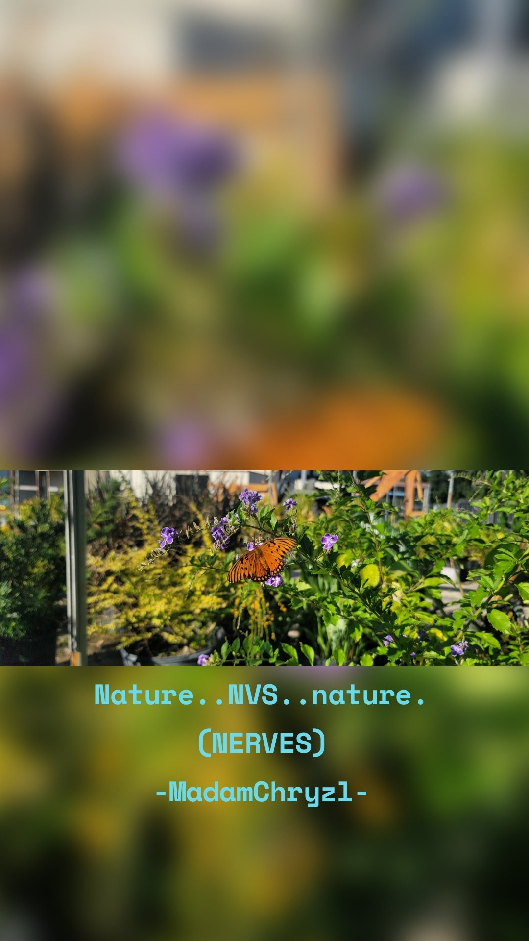 Nature..NVS..nature.
(NERVES)
-MadamChryzl-
