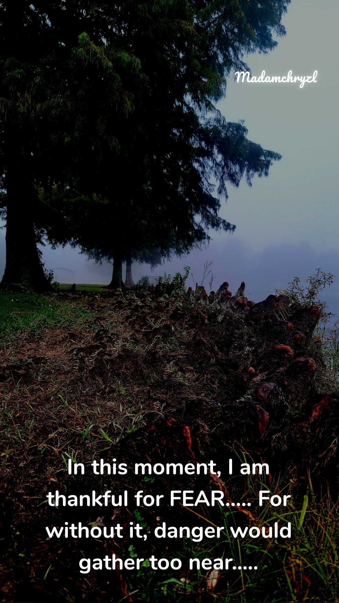 In this moment, I am thankful for FEAR..... For without it, danger would gather too near..... Madamchryzl 