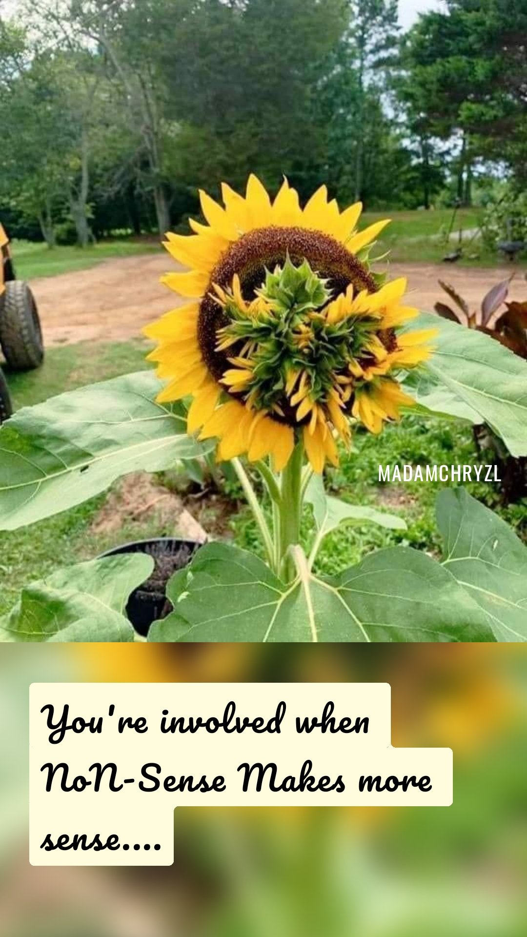 You're involved when NoN-Sense Makes more sense.... Madamchryzl 