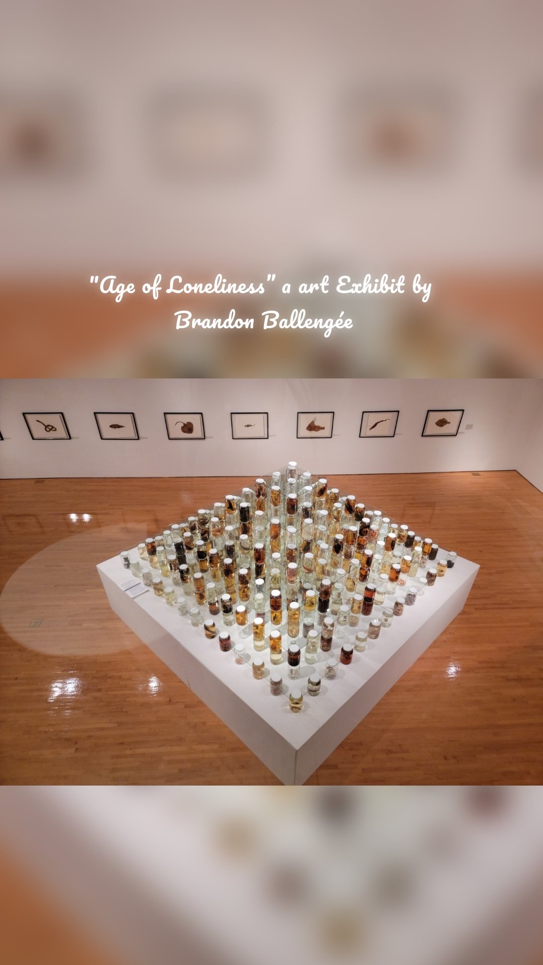"Age of Loneliness” a art Exhibit by 
Brandon Ballengée