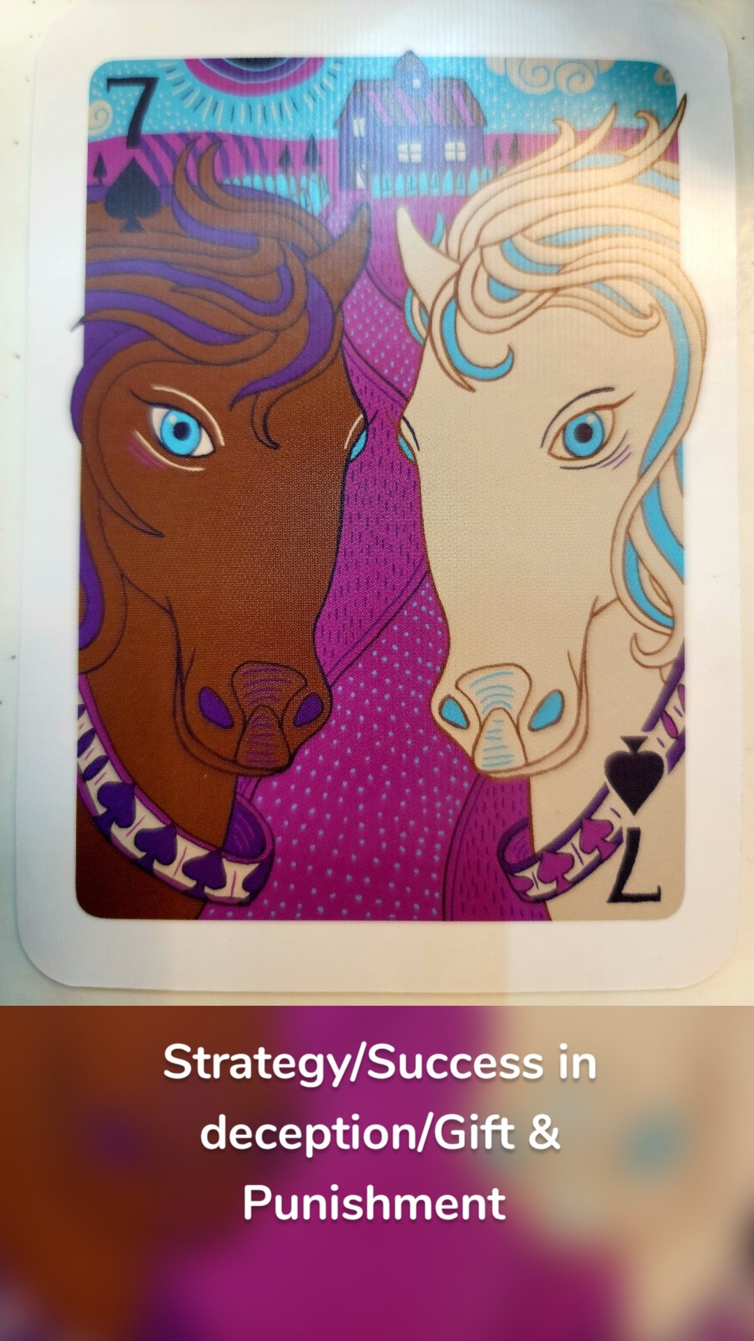 Strategy/Success in deception/Gift & Punishment 