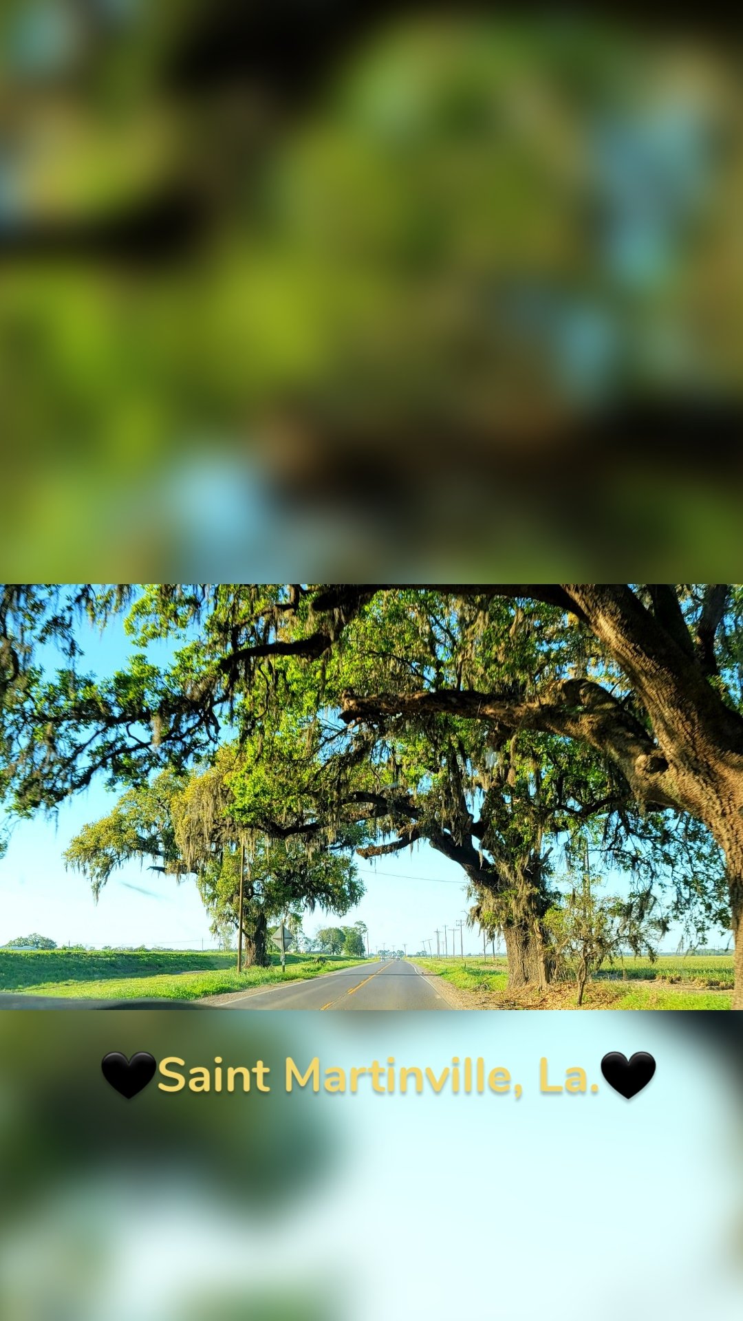  🖤Saint Martinville, La.🖤 