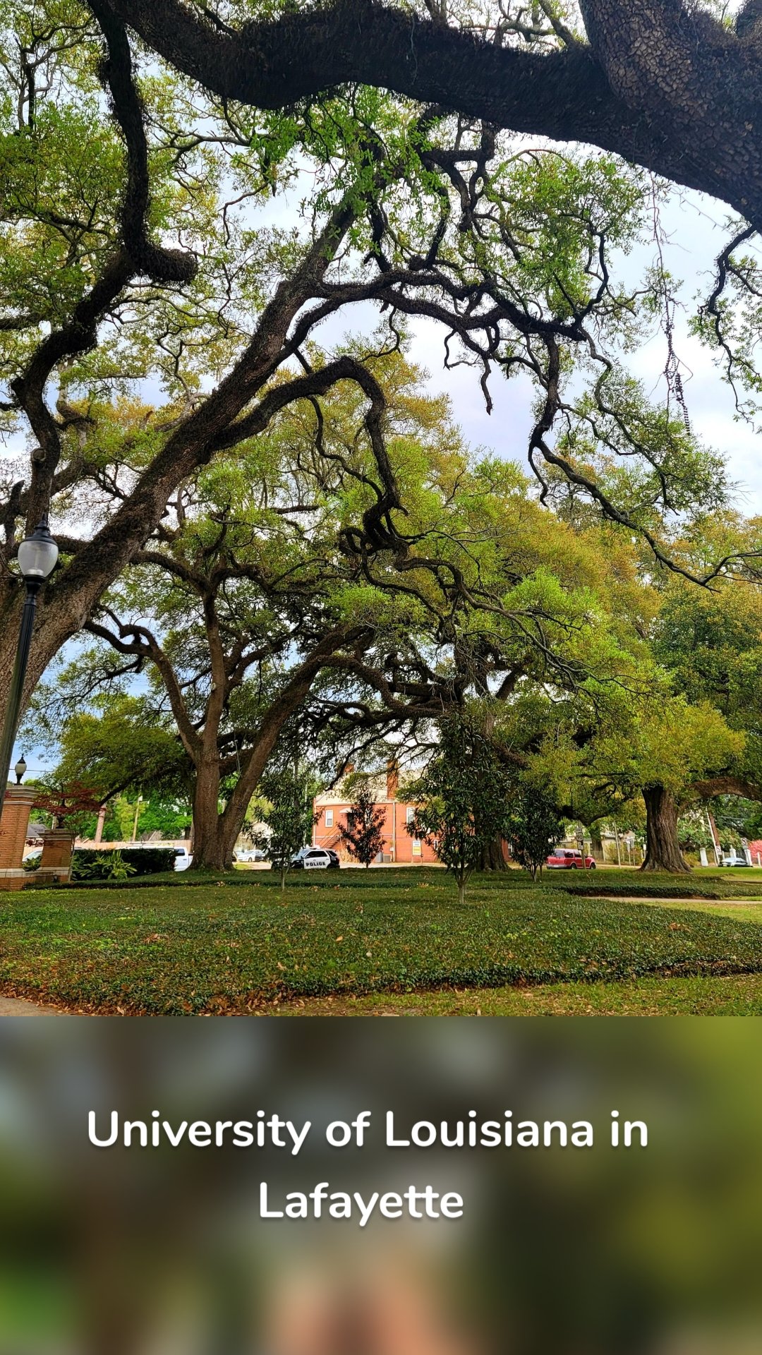  University of Louisiana in Lafayette 